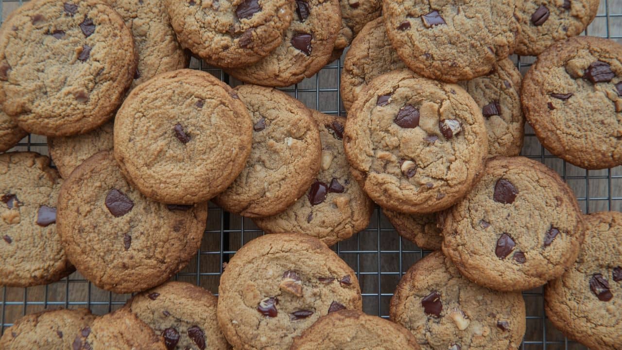 Tongass Forest Cookies A Delicious Look at These Ultimate Treats